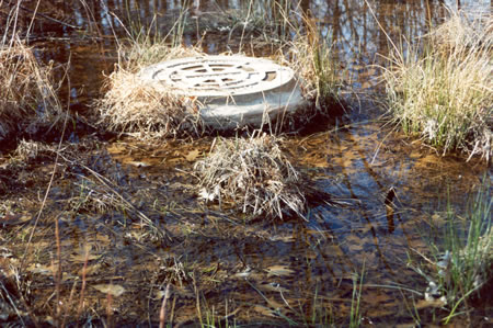 The pond level has almost covered the sanitary sewer manhole.