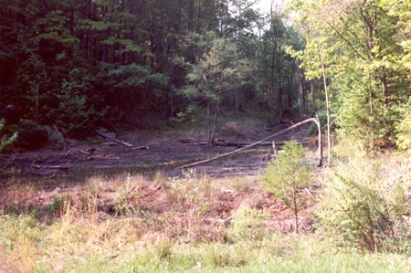 The next month the dam was lowered and most of the pond was gone.