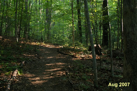 This trail to the right leads to a bench.