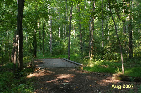 A narrow natural trail intersects just past the display shown.  Current on the current wide path which bends slightly to the right.