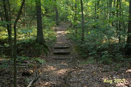 Do not take this first narrow trail to the right.  Continue straight on the wide trail up the hill.