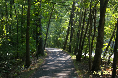 All 3 alternate routes join at the Nature Center and follow the asphalt trail east along Glade Dr.