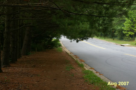 After a driveway it is necessary to walk along a dirt path for a short distance.