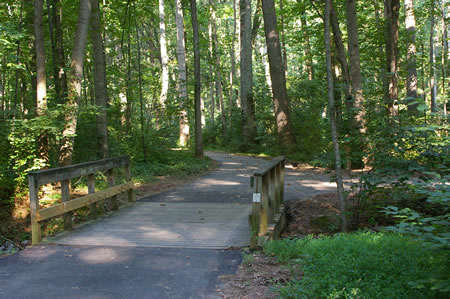 Another asphalt trail intersects from the right. Continue straight on the present trail.