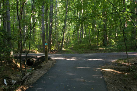 Just past the bridge turn left onto the intersecting asphalt trail.