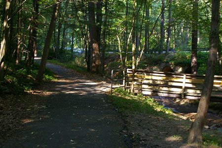 A narrow trail crosses Glade Stream on the right. Continue straight to the next trail intersection and turn right to cross Steeplechase Dr.