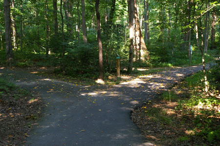 An asphalt trail intersects from the left. Continue to the right on the present trail.