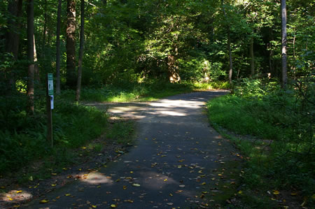 A short distance later another asphalt trail intersects from the left. Continue to the right and across a bridge on the current trail.