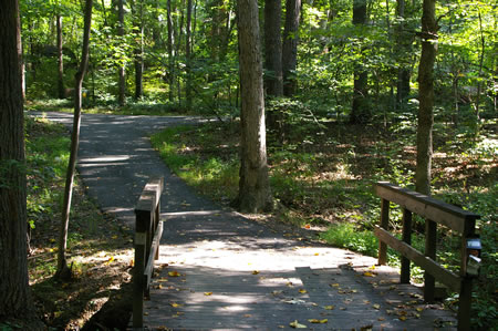 The trail crosses a bridge. Hunters Woods Pool may be seen a short distance on the left.