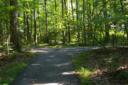 Turn right at the intersecting asphalt trail.