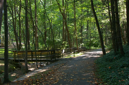 A narrow asphalt trail intersects from the bridge on the left.  Keep straight on the wide asphalt trail.