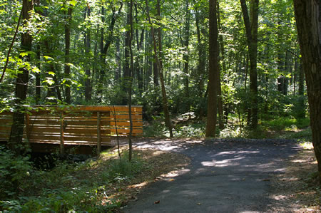Follow the wide asphalt trail as it turns left to cross a bridge over Glade Stream.