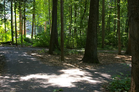 At the next asphalt trail intersection take the trail to the right and cross a bridge over the Glade Stream after a short distance.