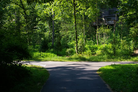 After crossing the Glade Stream turn left at the next asphalt trail intersection.