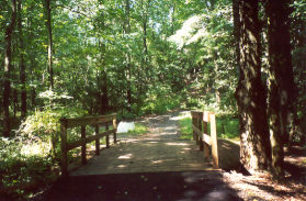 After crossing this bridge turn right.