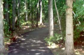 The path crosses Glencourse Lane and enters the woods.