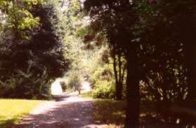 Just before the golf course the path turns left.