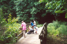 Cross the bridge over the inlet to Lake Thoreau.