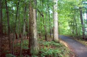 The trail climbs a steep hill and turns left.