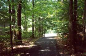 The trail crosses Purple Beech Dr and re-enters the woods on the other side.