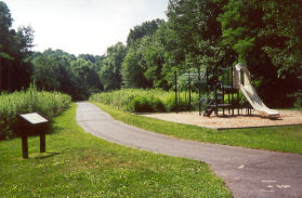 Turn left at the trail in the meadow area.