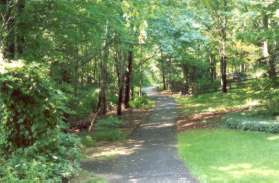 After crossing a bridge the trail climbs a hill.