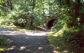Enter the tunnel under Ridge Heights Rd.  Do not take the trail to the left shown.