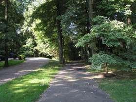 Follow the asphalt path into the woods.