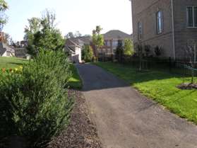 Turn left onto the asphalt trail between the houses on the left and walk up the short hill.