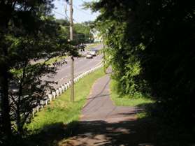 A trail intersects from the woods to the right.  Continue on the present trail along Baron Cameron Ave.