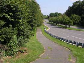 After crossing Wiehle Ave. turn right to follow the asphalt trail along that road.