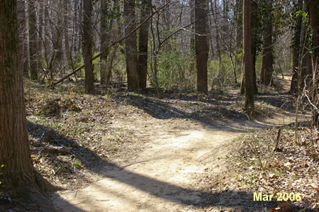 After a short distance a narrow trail intersects from the left.  This trail leads to the Old Carriage Road.