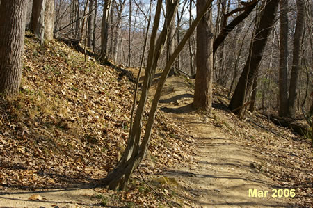 After passing under the bridge take the trail to the left up the bank.