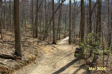 A wide trail leads to the left up the hill.  Continue straight on the present trail to view the Potomac River.