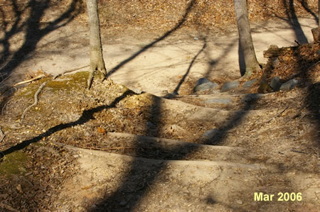 Turn left to walk down the steps to cross the Old Carriage Road and follow the trail up the hill on the other side.