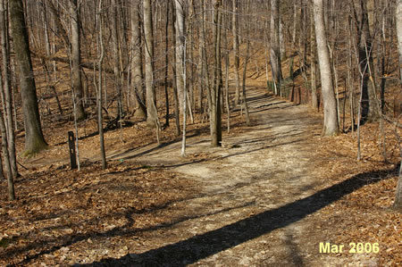 After going down a hill notice a trail intersecting on the left.  There is fencing on the right.