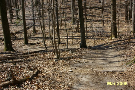 Turn left to follow the intersecting trail down the hill.