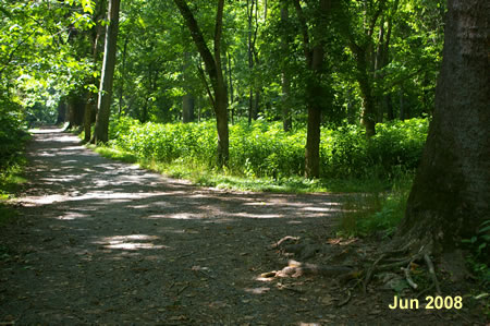 Turn right at the next intersecting trail.