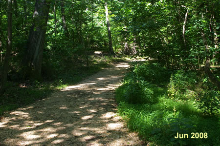 The trail backtracks slightly to join the Matildaville trail.