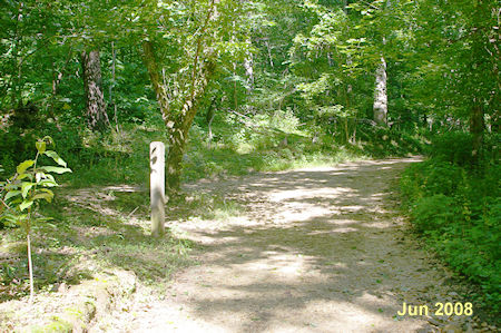 After a short distance a trail intersects from the left.  Turn sharply left to follow that trail.