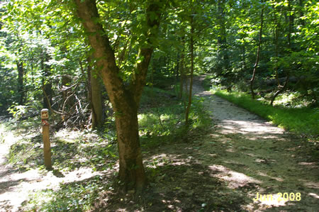 The trail goes  up a slight slope.