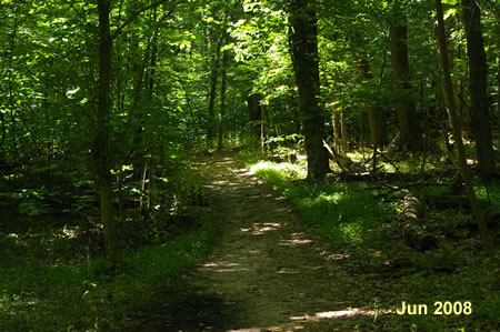 This is a view of the trail half way to the next intersection.