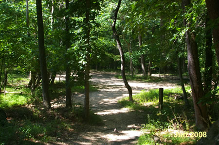 At this multi trail junction take the first trail to the left.