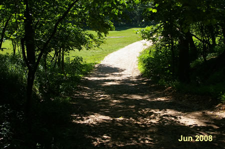 The trail goes through a cleared area.