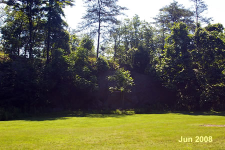 Notice the rocks at the edge of the clearing.