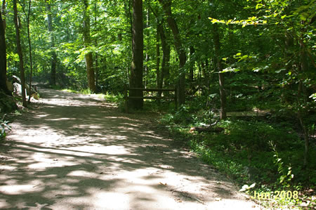 Turn right at the first intersecting trail after leaving the clearing.