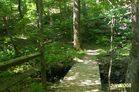 The trail crosses a bridge over a stream and turns left.