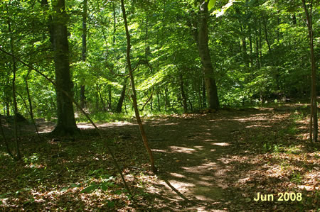 The trail to the left connects to the river trail. Take the trail to the right.