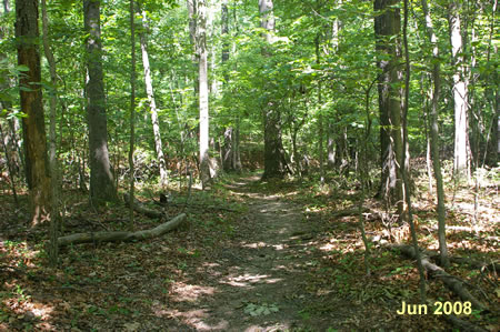 This is a shortcut through the woods to the Old Carriage Road.