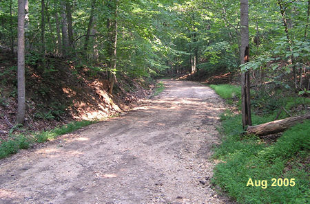 The trail goes down a hill.